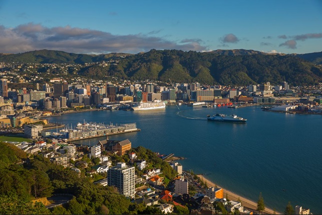 View looking down from Mt Victoria of Wellington Harbour with cruise liner docked