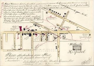 Plan illustrating some of the bad features of the current drainage of Newtown, 1885.