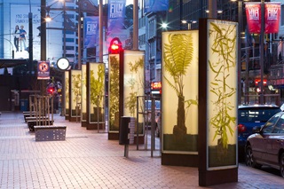 Ever Green exhibition installed on Courtenay Place, at night.
