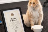 Mittens the cat posing with a certificate and miniature key to the city.