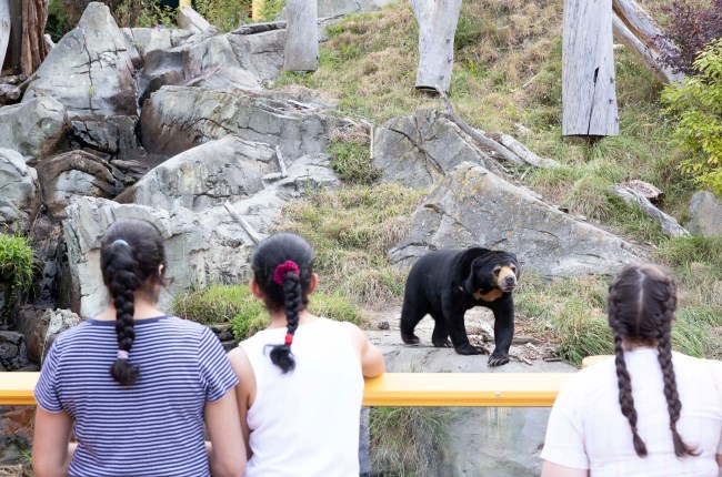 Wellington Zoo hosts Newtown neighbours