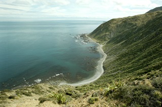 View of steep hill going straight down into sea at Te Kopahau Reserve.